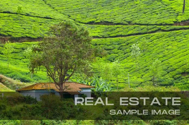 15 acre rubber and farm house/20 lakh